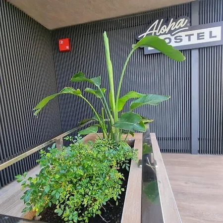 Aloha Surf Hostel *